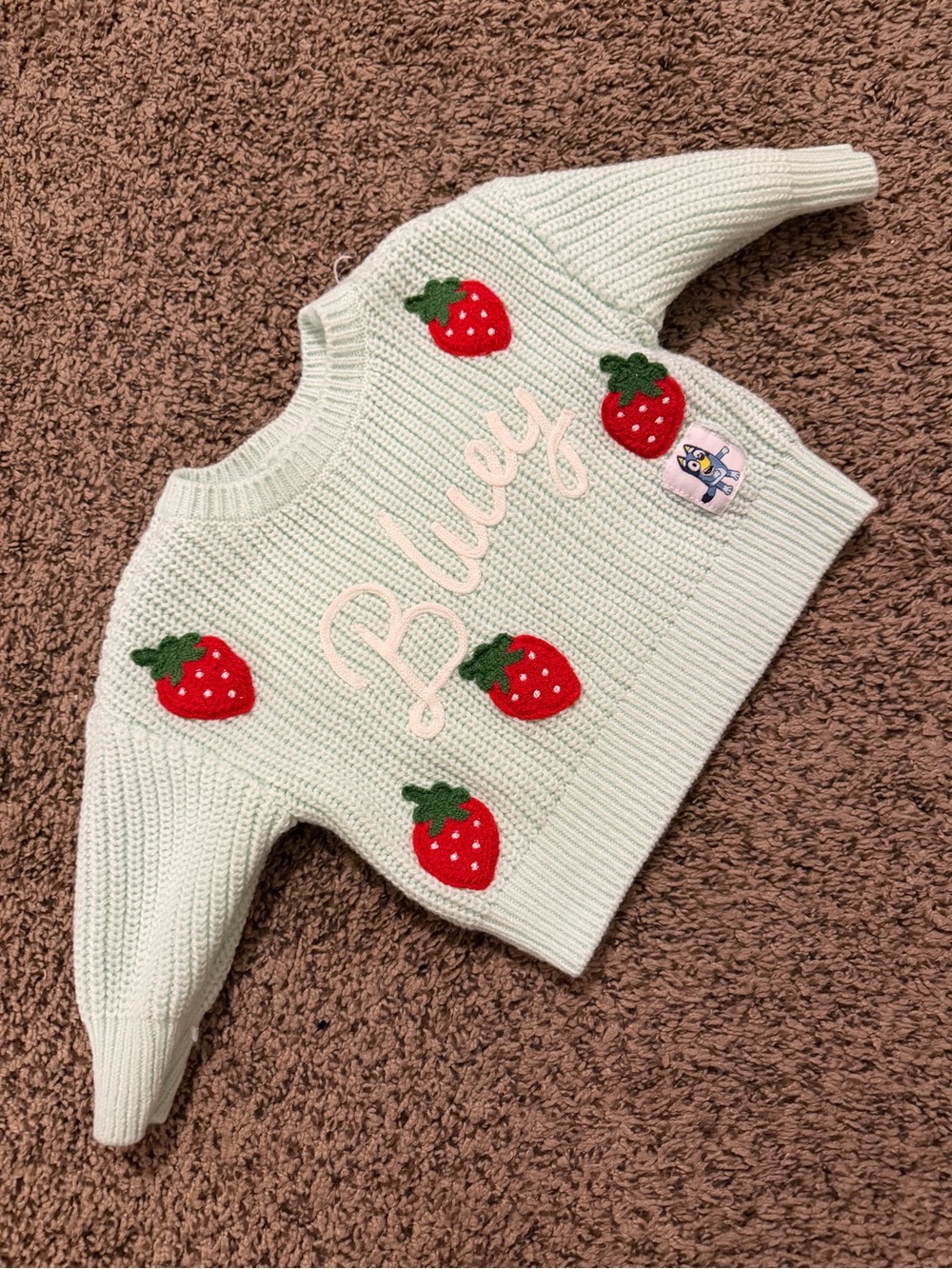 Bluey Mint Kids Sweater with Red Strawberry Appliqués